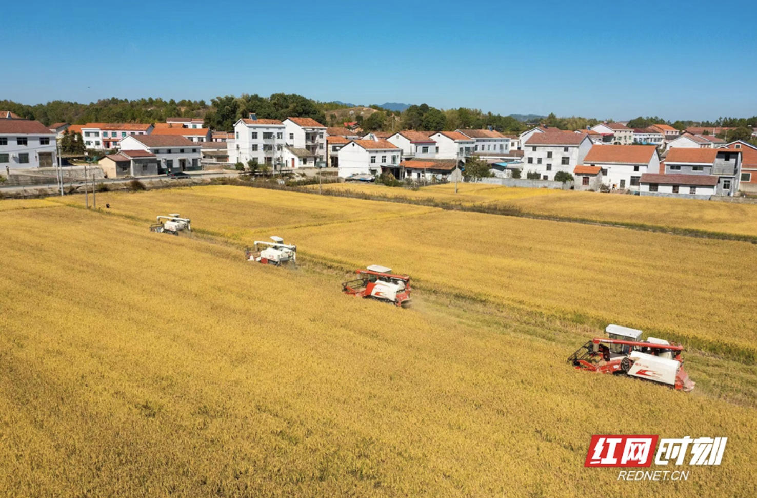 ScreenShot_2026-03-04_105243_969.jpg ScreenShot_2026-03-04_105243_969.jpg