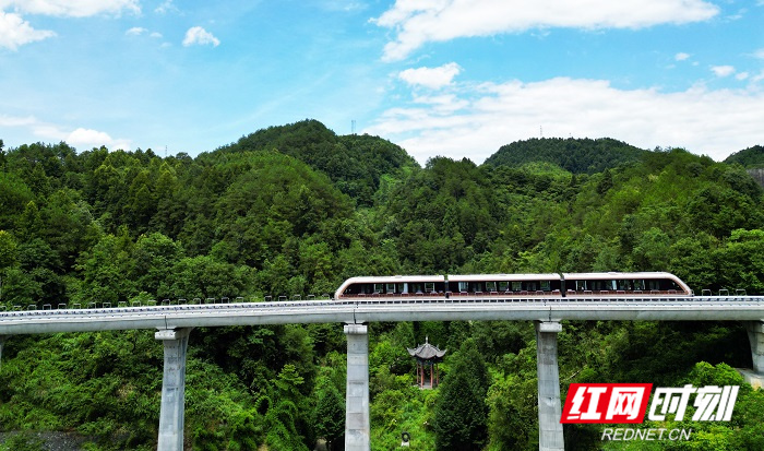 凤凰磁浮观光快线穿行在青山丛林间。.jpg