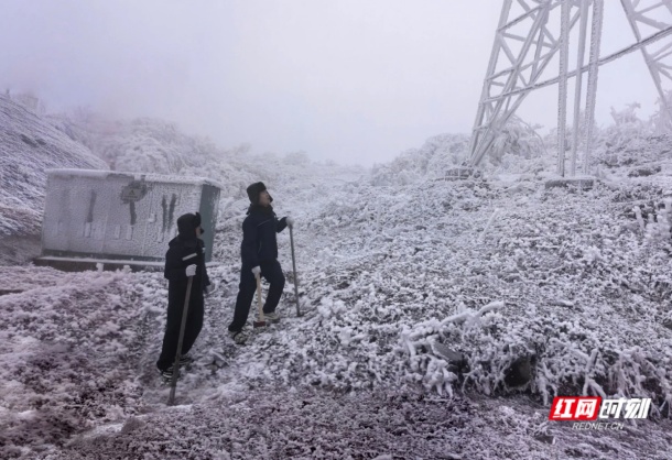 微信图片_20260130164626_1276_22.jpg 微信图片_20260130164626_1276_22.jpg