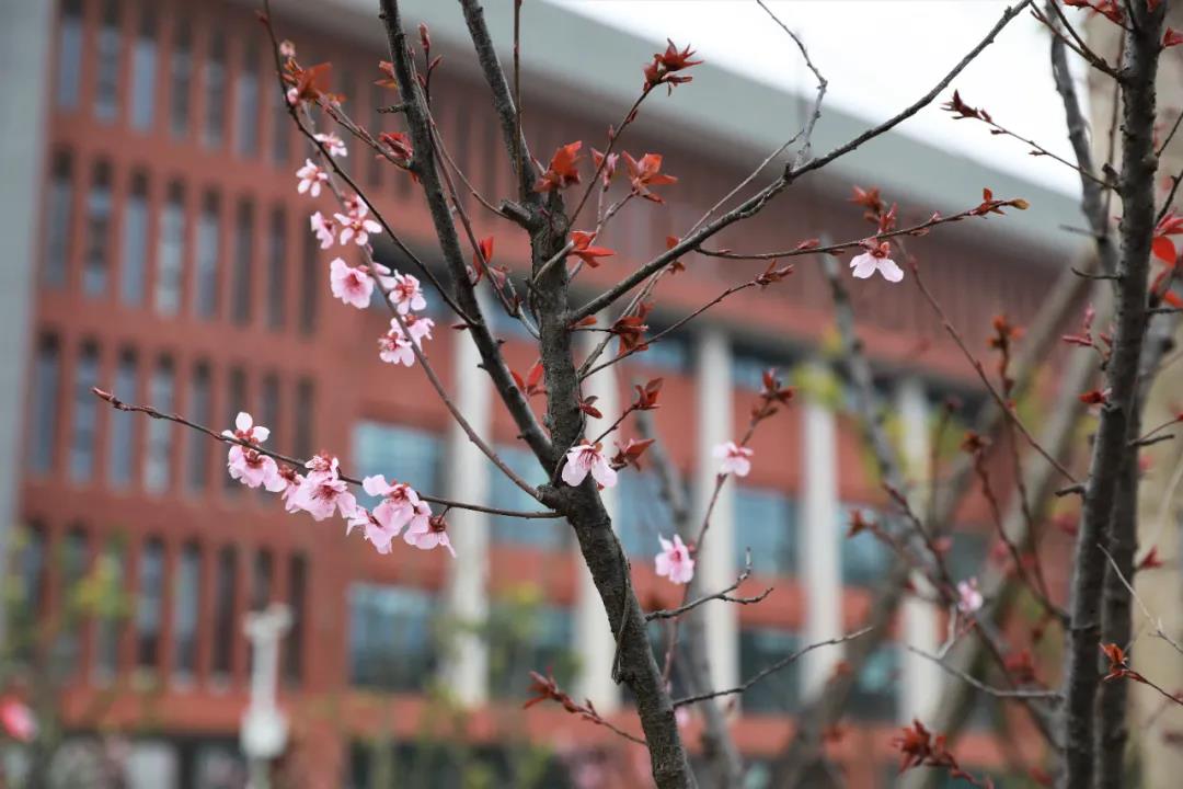 微信图片_20210302125430 - 副本.jpg 微信图片_20210302125430 - 副本.jpg