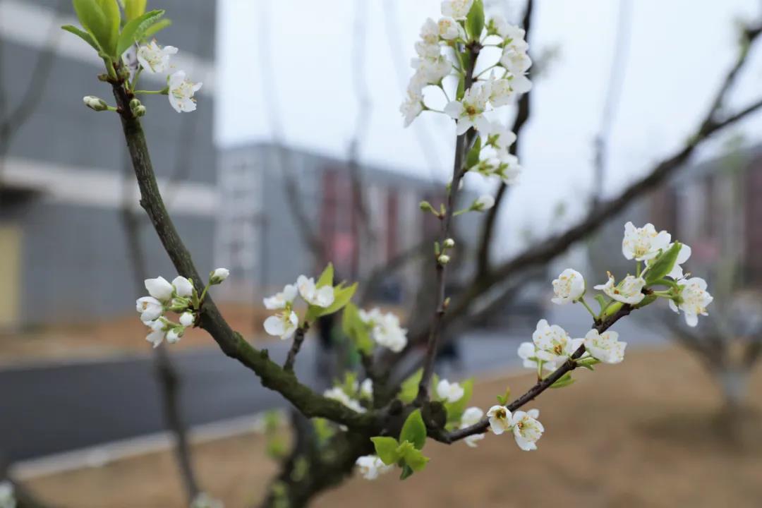 微信图片_20210302125451 - 副本.jpg 微信图片_20210302125451 - 副本.jpg