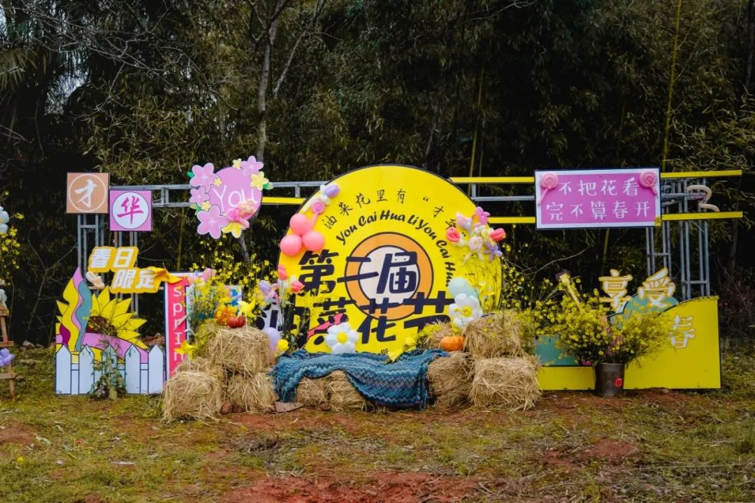 图片13.png