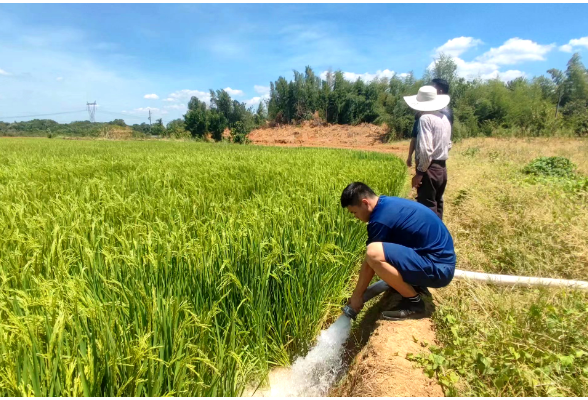 【防汛抗旱】湘潭经开区消防“送水”进田间 全力抗旱保民生