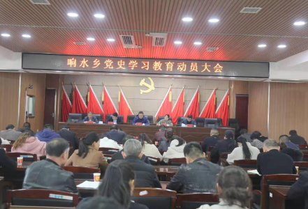 【学党史悟思想】响水乡召开党史学习教育动员大会