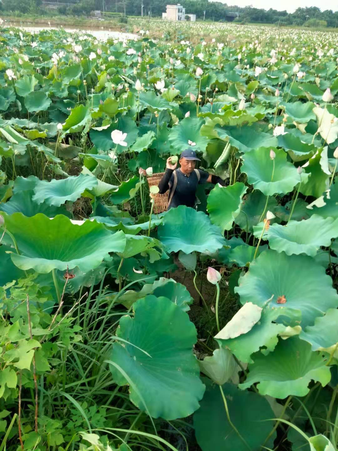 微信图片_20210728085059.jpg