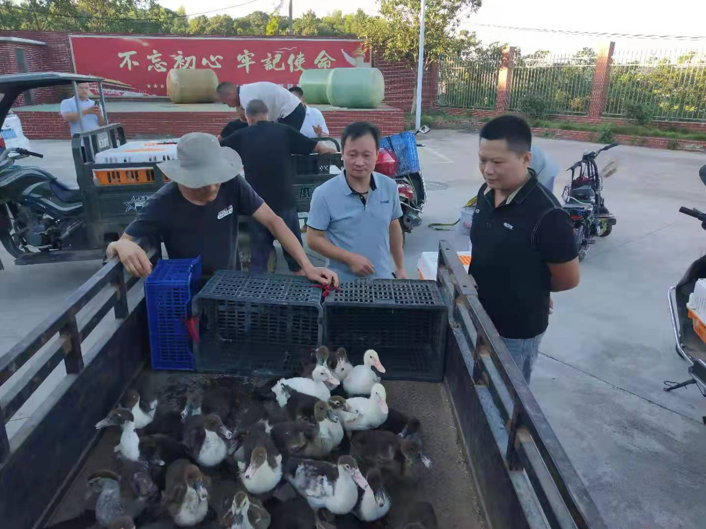 图片1.png