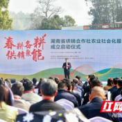 视频 | 春光正好力春耕 湖南成立“农业社会化服务大联盟”