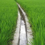 逐步实现“蓄得住水、灌得到田、上得了山”