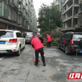 资兴市水利局：春暖三月学雷锋 文明创建我先行