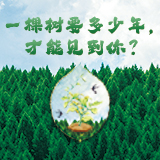 海报｜一棵树要多少年，才能见到你？
