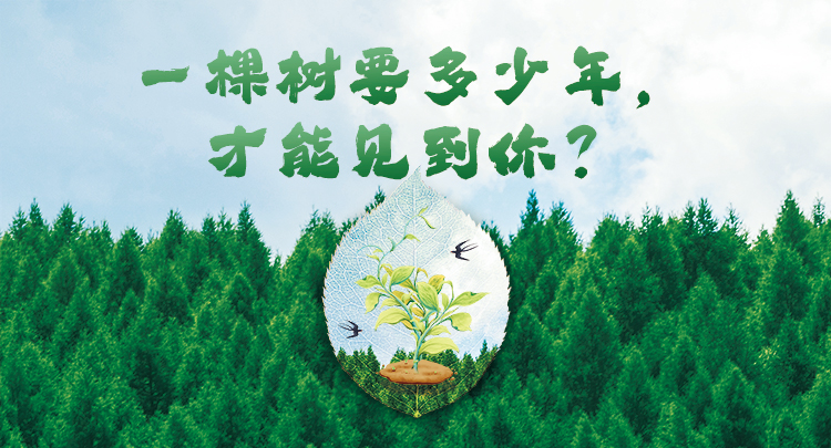 海报｜一棵树要多少年，才能见到你？