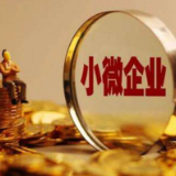 国家税务总局与全国工商联联合开展2023年助力小微经营主体发展“春雨润苗”专项行动