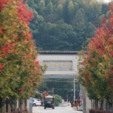 长沙县高桥商会：轮值制度初显成效