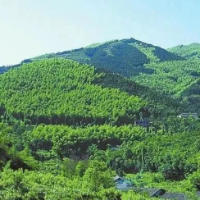 湖南宁远深化林长制改革落地见效