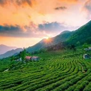 “四小建设”助力乡村振兴