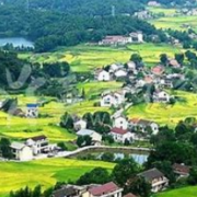 桃江县：公交带货建“乡村好运”  服务融合助乡村振兴