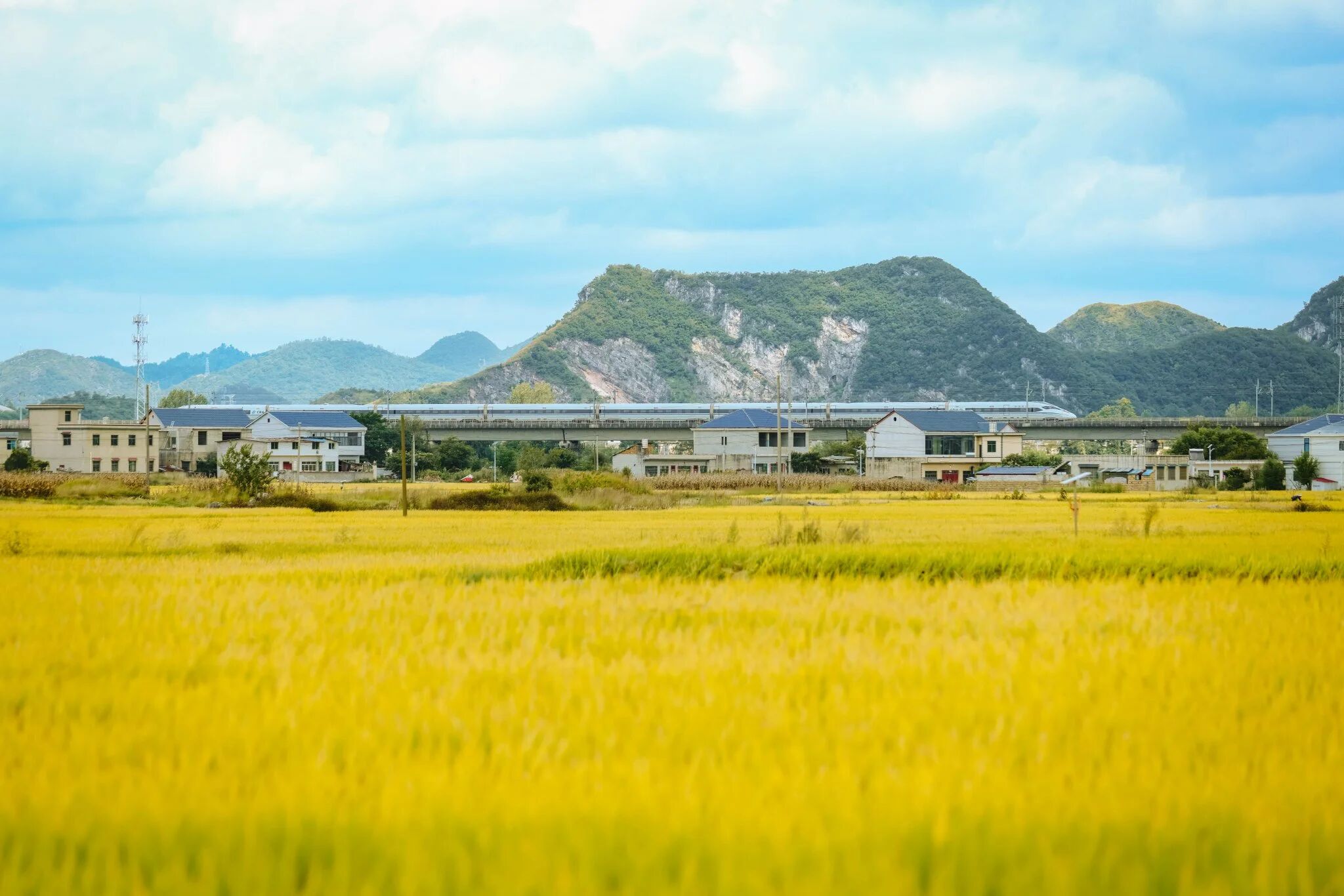 微信图片_2025-10-29_101100_259.jpg 微信图片_2025-10-29_101100_259.jpg