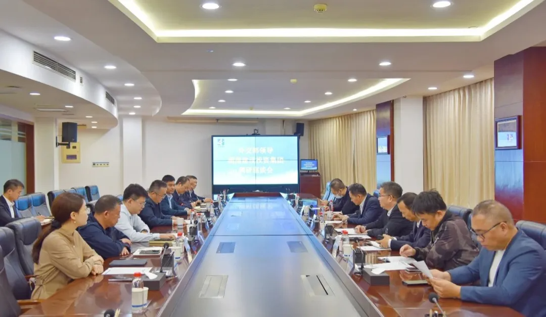 Xue Bing visits HCIG