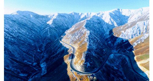 01.gif