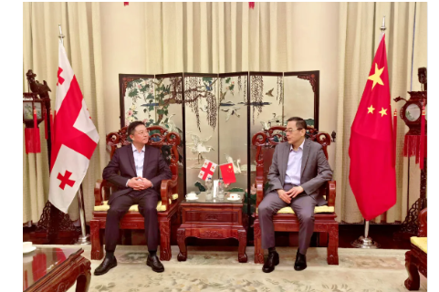 Chairman Cai visits Georgia for business and project construction