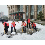 常德市红十字会开展清雪除冰志愿服务活动