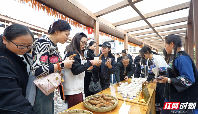 截屏2025-11-05 11.45.31.png 截屏2025-11-05 11.45.31.png