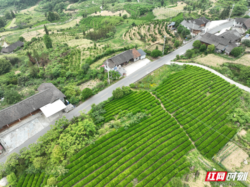 微信图片_2025-12-04_172302_567.png 微信图片_2025-12-04_172302_567.png