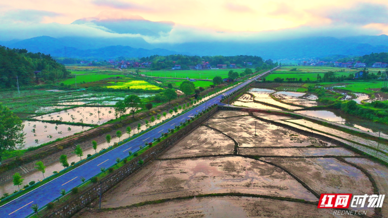 微信图片_2025-12-04_172255_784.png 微信图片_2025-12-04_172255_784.png