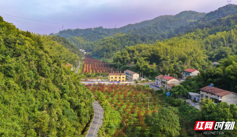 微信图片_2025-12-04_172243_234.png 微信图片_2025-12-04_172243_234.png