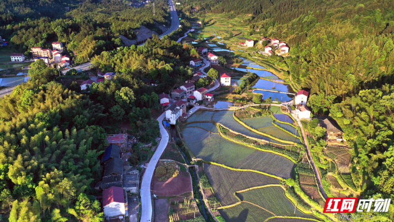 微信图片_2025-12-04_172317_667.png 微信图片_2025-12-04_172317_667.png