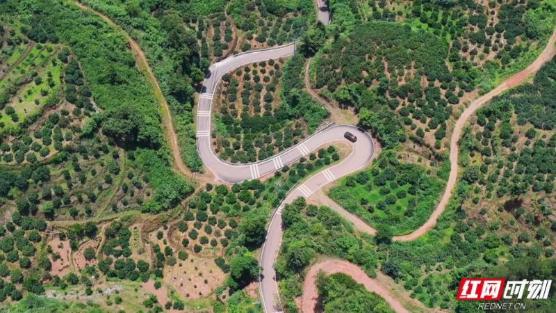 微信图片_2025-12-04_172259_633.png 微信图片_2025-12-04_172259_633.png