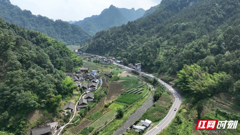 微信图片_2025-12-04_172320_900.jpg 微信图片_2025-12-04_172320_900.jpg