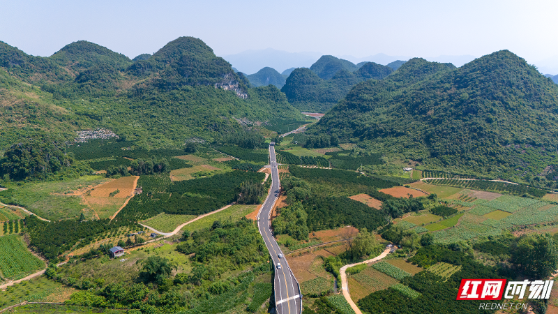 微信图片_2025-12-04_172248_500.png 微信图片_2025-12-04_172248_500.png