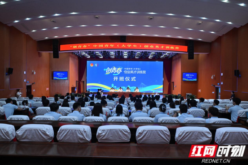 图片51.png