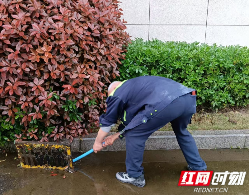 图片8.png 图片8.png