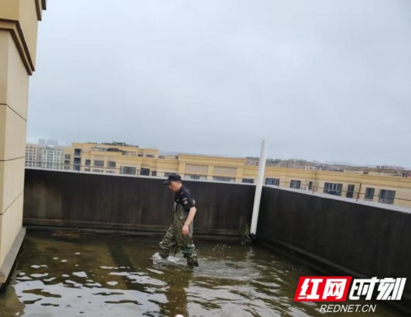 图片9.png 图片9.png