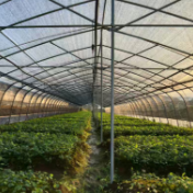 党建引领聚合力 产业赋能添动力——湖南省工信厅驻高塘村工作队谱写乡村振兴新篇章