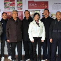 潇湘银辉 | 银发映初心 他乡故土两相牵