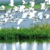 湖南林业“十四五”答卷丨推进自然保护地体系建设 预计2025生态旅游综合收入超1900亿元