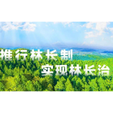 湖南林业“十四五”答卷丨林长制全面建立 全省已有生态护林员5.38万人