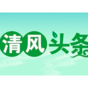 清风头条｜桃源县漆河镇：堰塘整修惠民生，精准监督促振兴