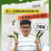 来湖南创业吧｜兰轮轮：“辣椒新兵”的湘秦“联姻”