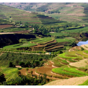 5年新增水土流失治理面积超34万平方公里——水利部介绍我国“十四五”水土保持相关成效