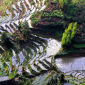 赓续水脉文脉 湖南创新推进水文化建设