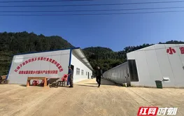 3年投资项目83个 湖南国资推进乡村振兴产业可持续发展