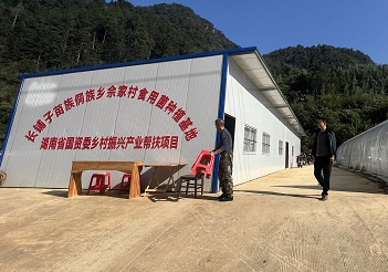3年投资项目83个 湖南国资推进乡村振兴产业可持续发展