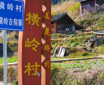 通道：“乡村著名行动”绘就美丽侗乡新图景
