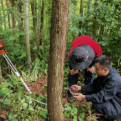 安化县：多措并举 高质量完成益阳市77个森林样地调查监测