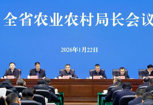 2025“厅”头条|湖南“三农”战报:十场硬仗打出“湘”当有力的丰收年