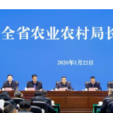 2025“厅”头条|“六大重点”绘出新图景! 2026年湖南“三农”工作这样干